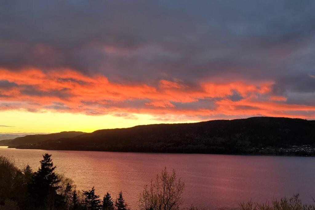Coastal Lookout Suites Corner Brook Zewnętrze zdjęcie